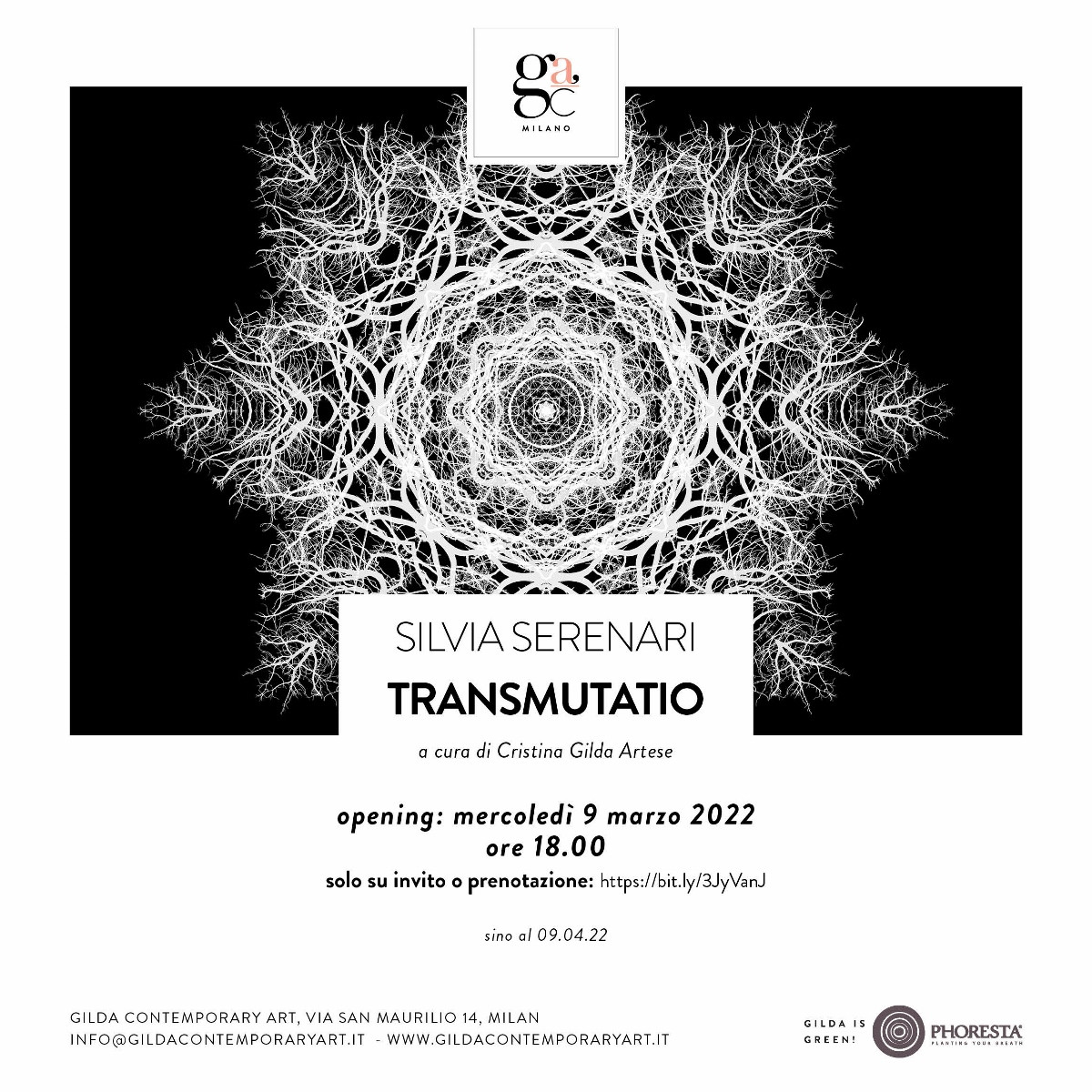 Silvia Serenari – Transmutatio